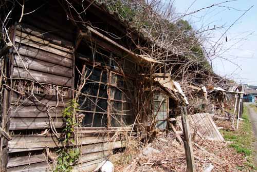 自然に還る幼稚園跡_f0173596_962022.jpg