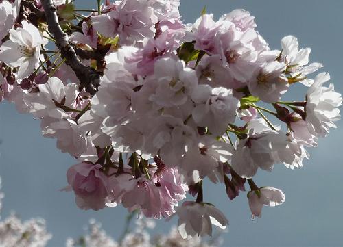 b0051598_2228354.jpg