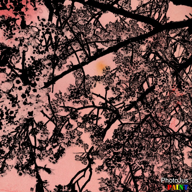 水彩画のような写真加工ができるiphoneアプリ 1 Photojus Paint Fx 無料 Iphoneの無料アプリ 水彩画のような写真加工ができるiphoneアプリ 1 Photojus Paint Fx 無料 Iphoneの無料アプリ