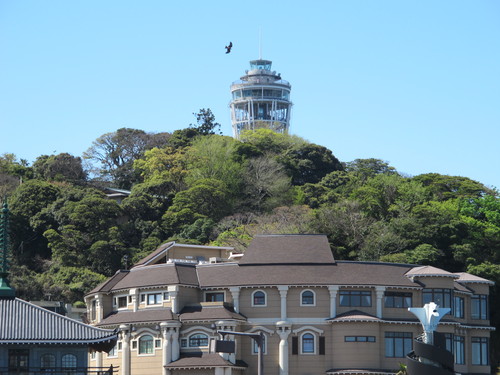 江ノ島から春の富士山を観望する（６）_c0075701_20434221.jpg