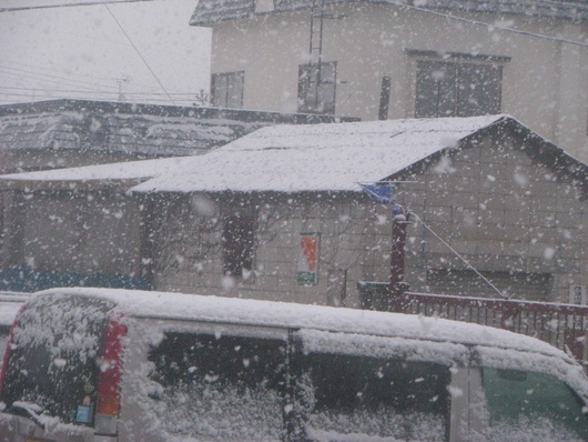 ◆ 外は真っ白です!! ◆_c0078202_6191296.jpg