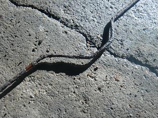 c0118011_10325955.jpg