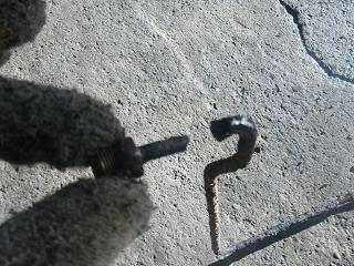 c0118011_10332021.jpg