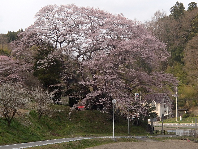 c0141223_19461753.jpg