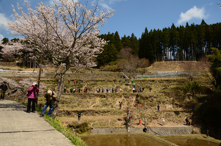 d0073324_153159.jpg
