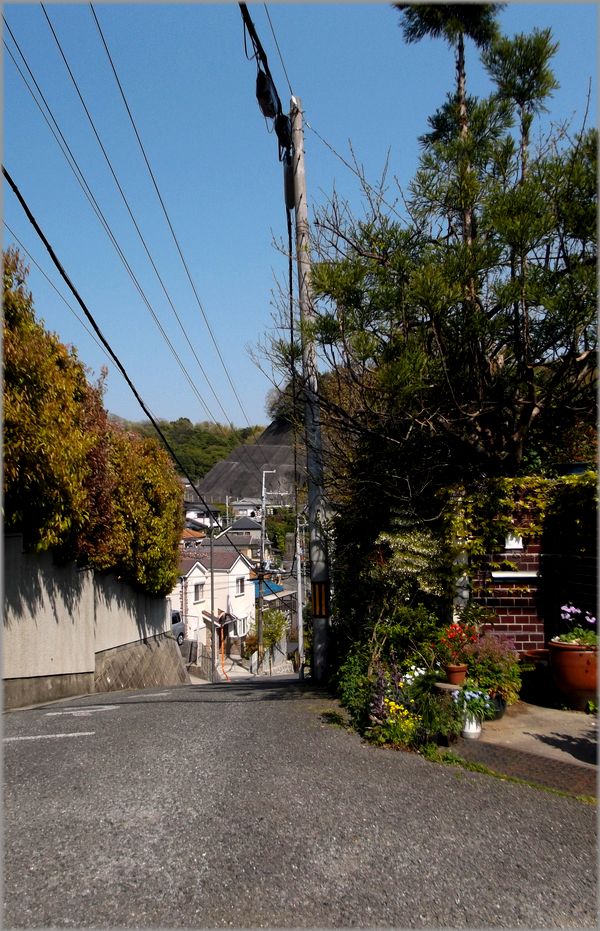「橋本希望ヶ丘・・・坂のある町の風景」_d0133024_16381263.jpg
