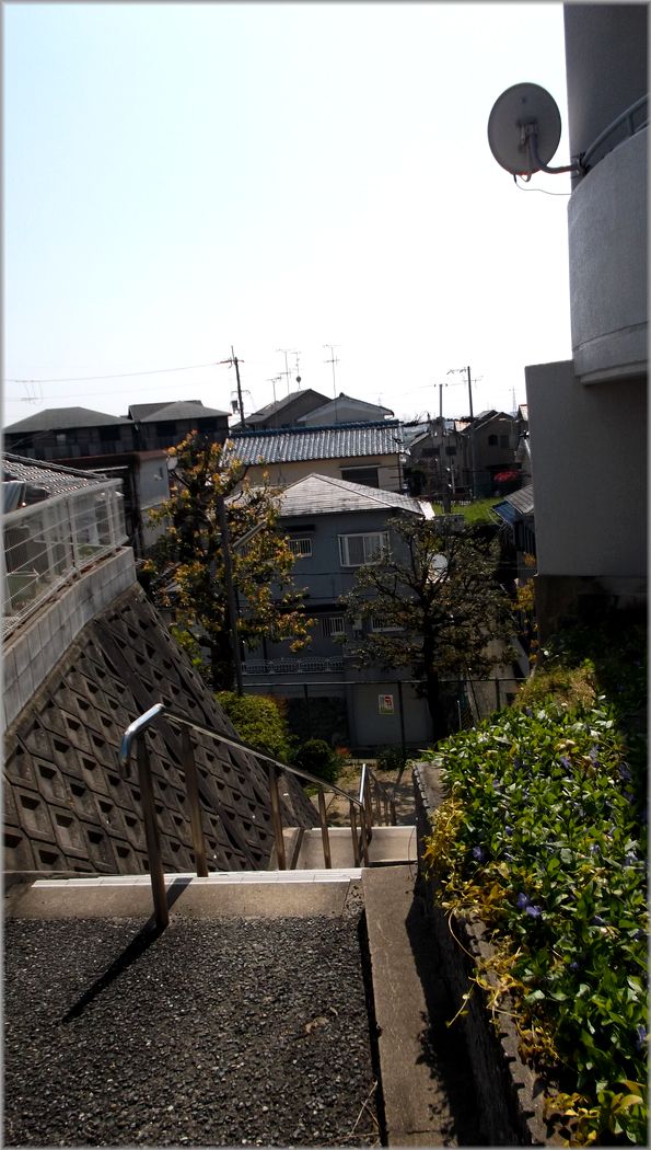 「橋本希望ヶ丘・・・坂のある町の風景」_d0133024_16404641.jpg