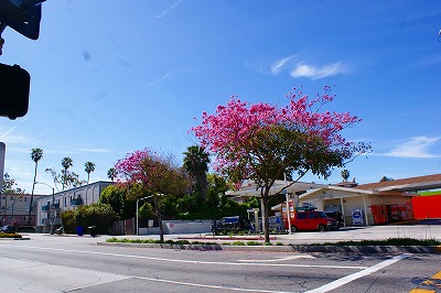 f0170524_23523642.jpg
