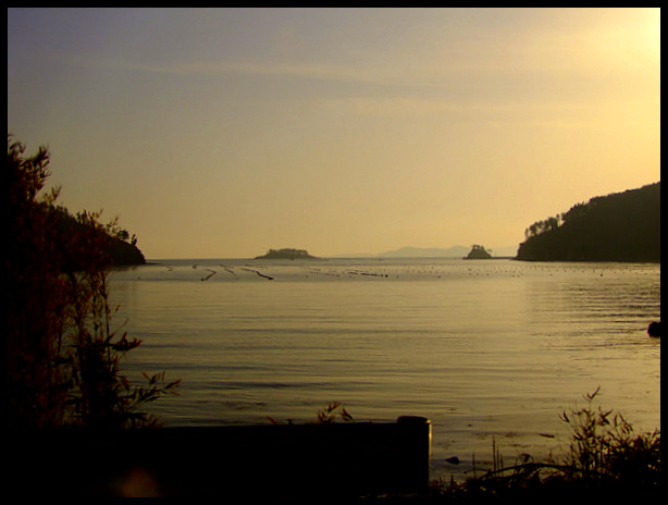 「島根県 隠岐3島巡りツアー」_a0000029_22381742.jpg