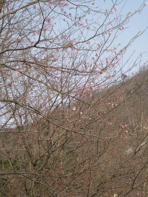 a0158236_857651.jpg