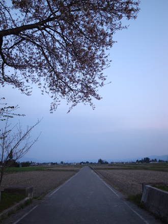 a0014840_2314272.jpg