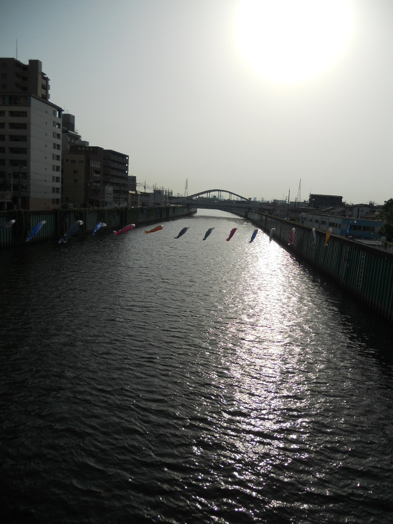 e0300042_18464519.jpg