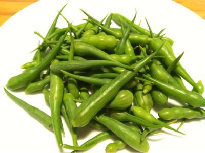 さや大根 自然派ワインとおいしいヒトトキ さや大根 自然派ワインとおいしいヒトトキ