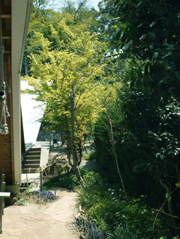 d0145345_16114663.jpg