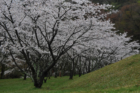 卯辰山公園(4)_c0093046_6435494.jpg