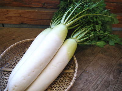 熊本の最旬「美味かもん」をご紹介 vol.4_a0254656_17531752.jpg