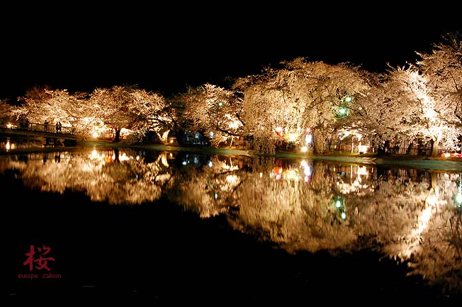 夜桜見物_b0150077_11364713.jpg