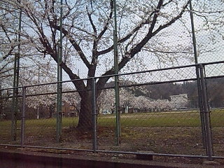 e0269185_21552523.jpg
