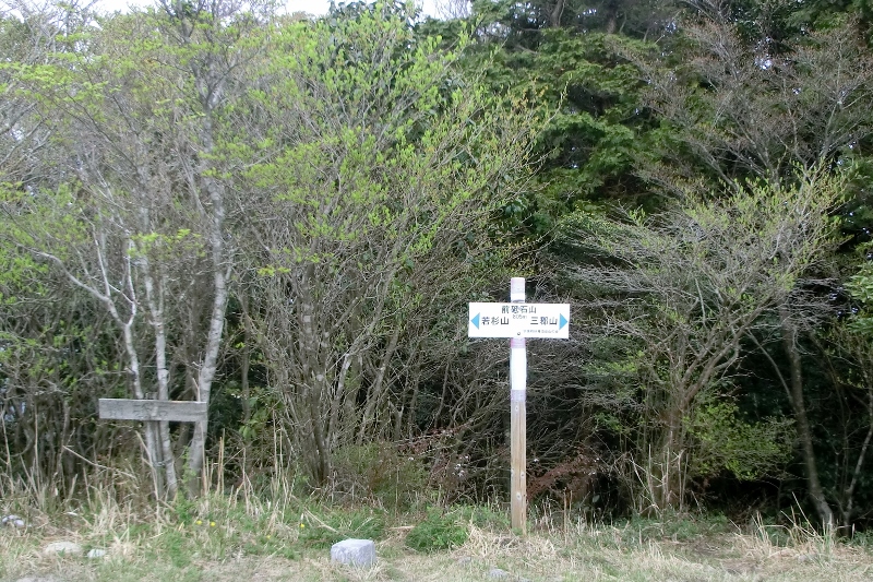d0125589_8371196.jpg