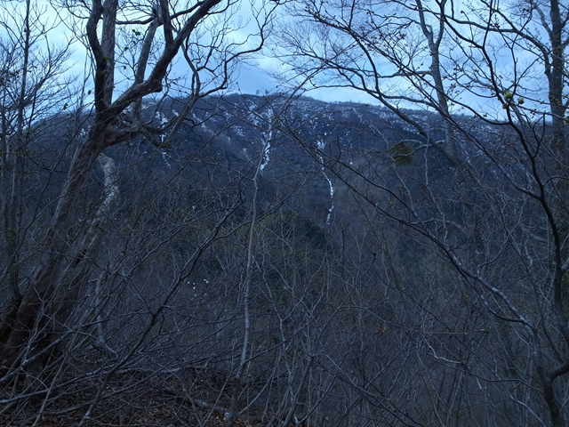 e0271890_22314688.jpg