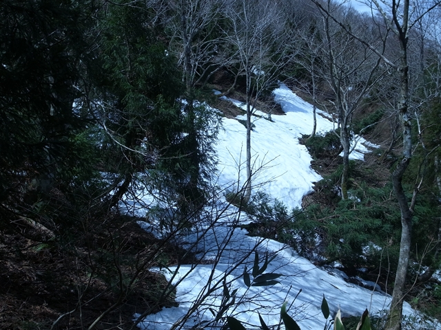 e0271890_2237223.jpg