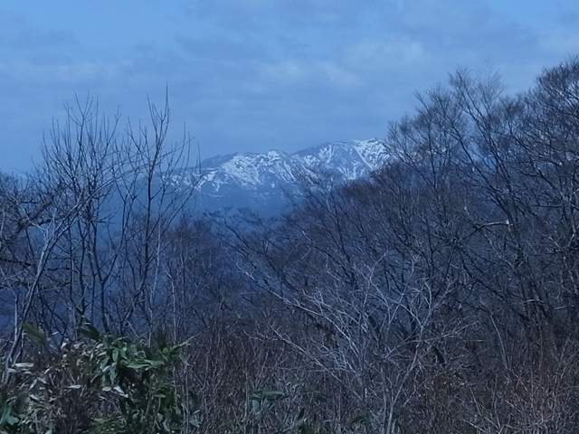 e0271890_2250062.jpg