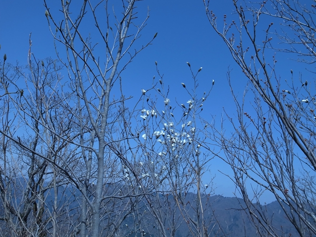 e0271890_231869.jpg