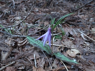 e0271890_2334329.jpg