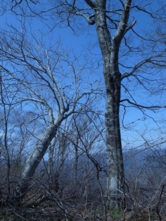 e0271890_2348568.jpg