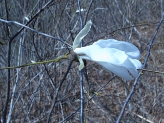 e0271890_23584488.jpg