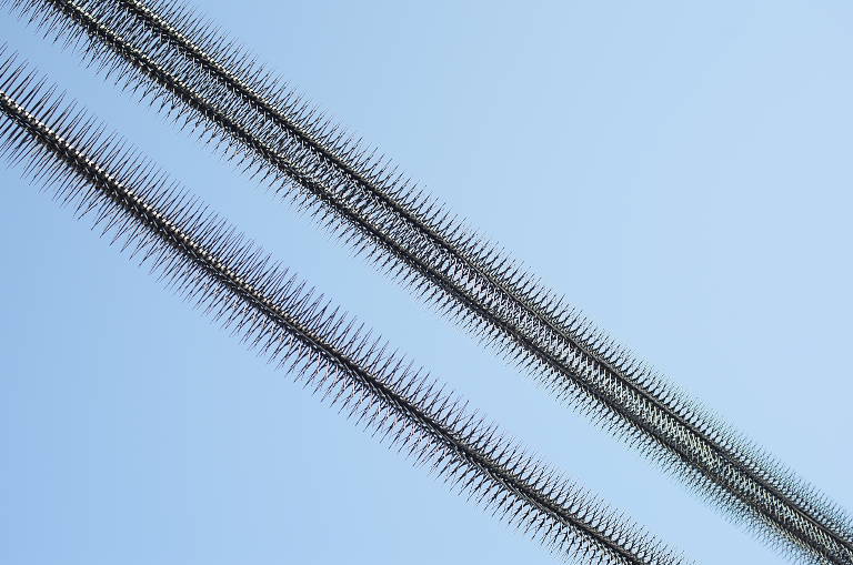 d0069495_15571875.jpg