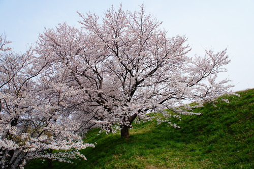 b0288598_0373673.jpg