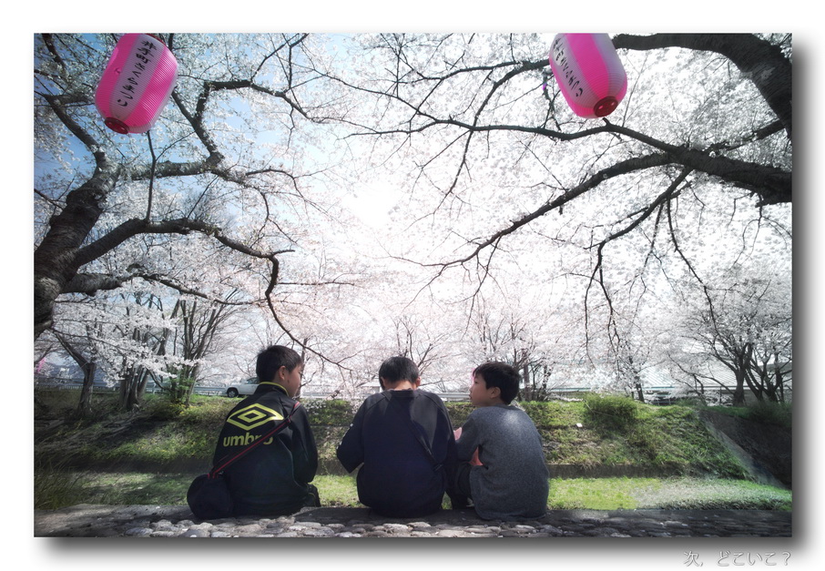 同期の桜 ..._f0071708_062319.jpg