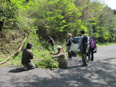 ドイツ植物造形in福岡　講習準備_c0178009_0432756.jpg