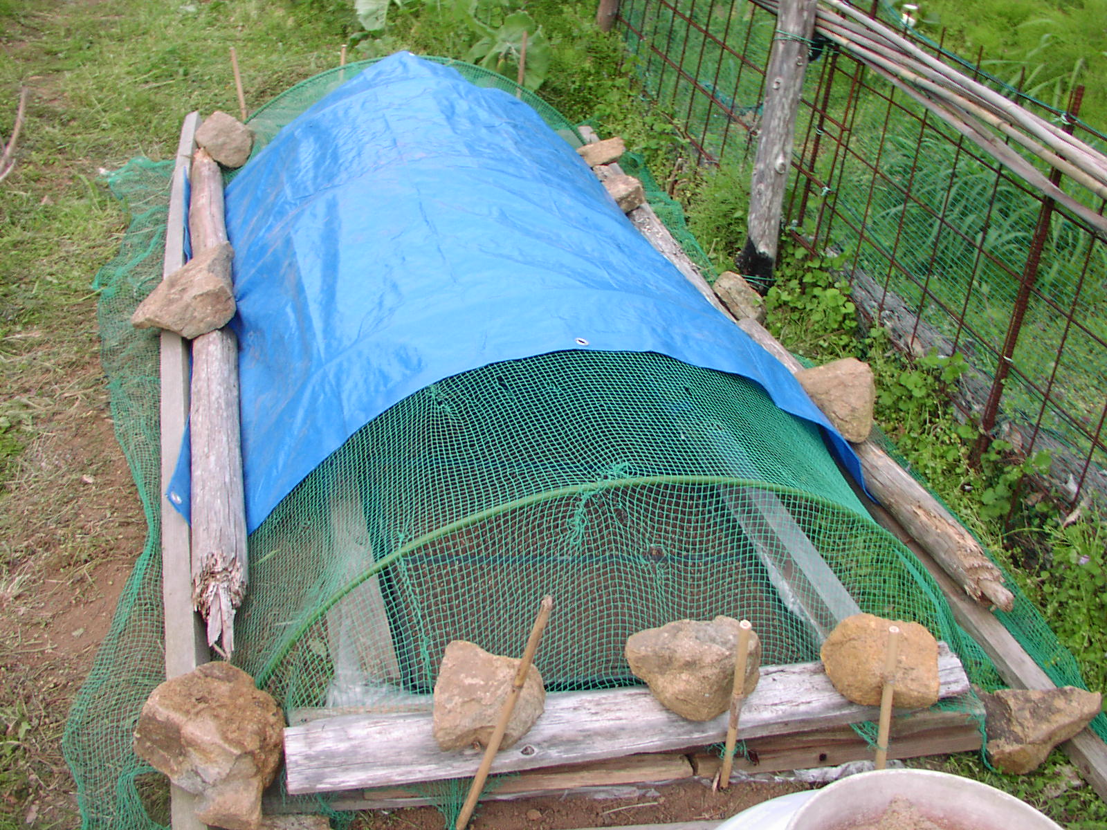 f0164410_18103674.jpg