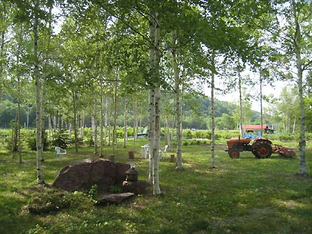 f0032812_15211147.jpg