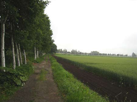 f0032812_16364345.jpg