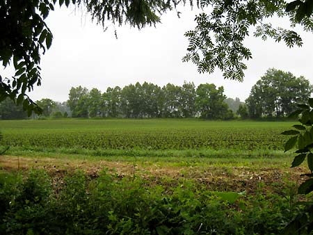 f0032812_1638681.jpg