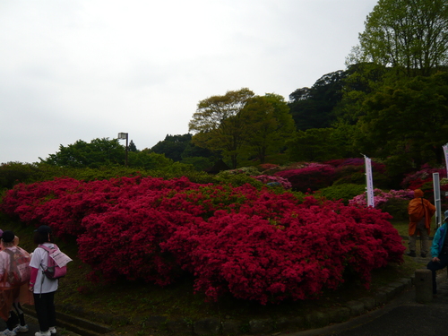 a0238019_17582857.jpg