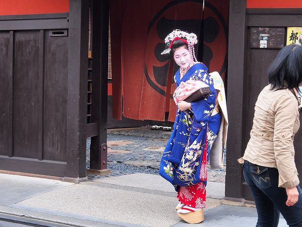  ＊京都・大阪・奈良の桜７名所_b0204819_1895821.jpg