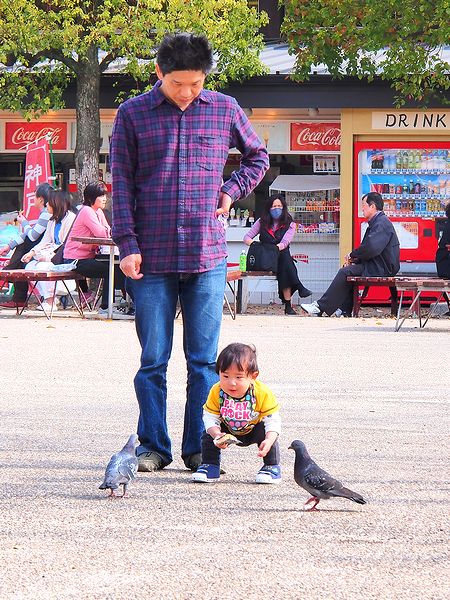  ＊京都・大阪・奈良の桜７名所_b0204819_200049.jpg