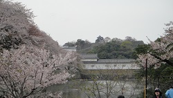 f0000521_84456.jpg