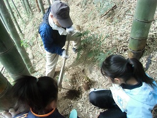 タケノコ掘り_d0180132_19592247.jpg
