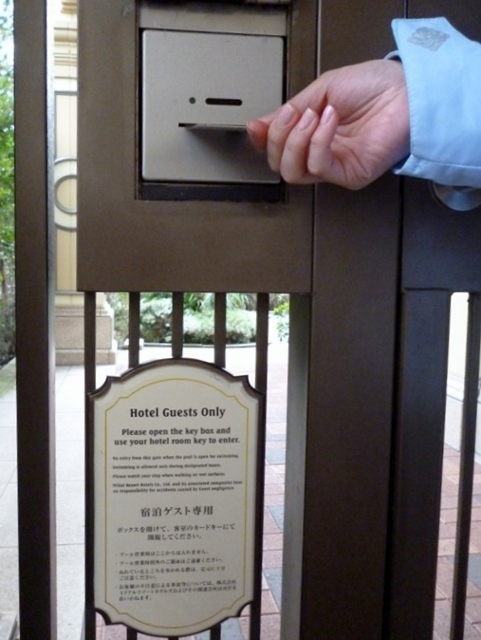 東京ディズニーランドホテル ミスティマウンテンズ プール編 ポレポレaskのブログ