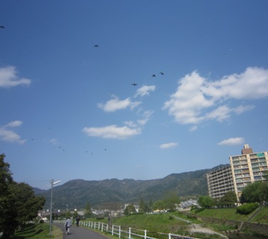e0198839_10564047.jpg