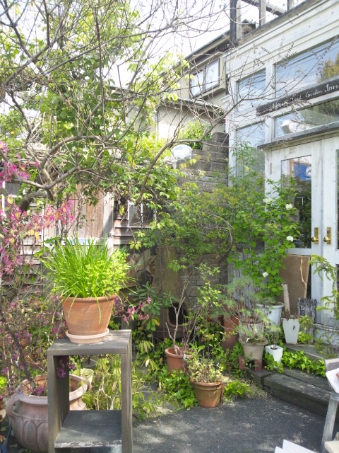 f0177841_2156131.jpg