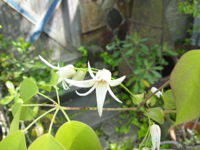 f0177841_21563085.jpg
