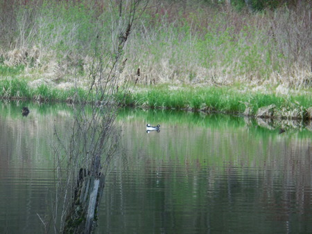 a0025444_1331579.jpg
