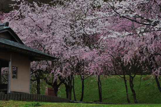 卯辰山公園(5)_c0093046_810525.jpg