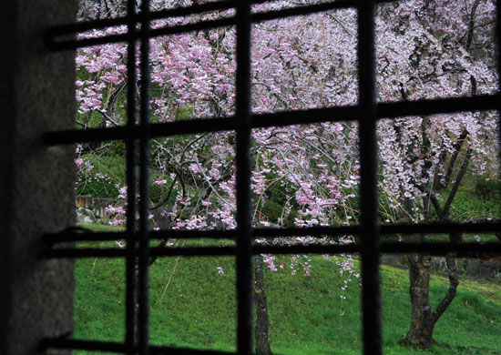 卯辰山公園(5)_c0093046_893534.jpg
